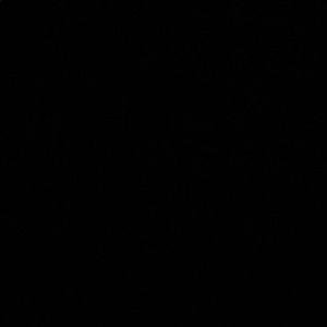 Meet your Posher, Therealdealdub